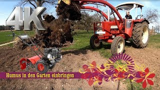 🌱 Boden vorbereiten im Garten 🌱 IHC Traktor und Hecht Gartenfräse für die Bodenarbeit im Biogarten [upl. by Bevis590]