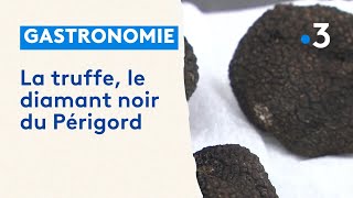 Agriculture  la truffe une filière capricieuse [upl. by Eimme]