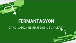 AYT Canlılarda Enerji Dönüşümleri FERMANTASYON podcast [upl. by Romito]