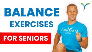 Balance Exercises for Seniors  Fall Prevention  Balance Exercises for Elderly [upl. by Noivart]