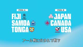 ラグビー パシフィックネーションズカップ2024  8月23日開幕 WorldRugby ラグビー日本代表 [upl. by Eanad281]