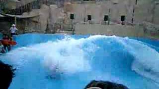 Wild Wadi  Dubai [upl. by Toft973]