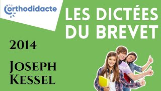 Dictée du brevet des collèges 2014 [upl. by Emmit]