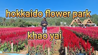 hokkaido flower park khao yai [upl. by Ahsened]