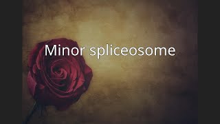 Minor spliceosome [upl. by Mosora838]