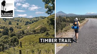 Te Araroa Trail  Episode 7  TIMBER TRAIL  New Zealand Thru Hike [upl. by Tormoria]