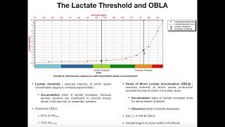 Lactate Threshold amp Onset of Blood Lactate Accumulation OBLA [upl. by Neemsaj]