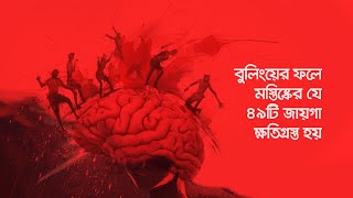 বুলিংয়ের ফলে মস্তিষ্কের যে ৪৯টি জায়গা ক্ষতিগ্রস্ত হয় [upl. by Shani]