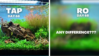 IS RO BETTER THAN TAP IN A PLANTED TANK MY EXPERIENCE AFTER 10 WEEKS [upl. by Thia853]