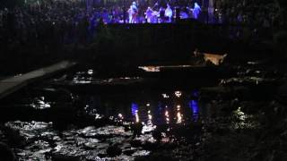 Mostar Sevdah Reunion concert under the Old Bridge in Mostar Bosnia and Herzegovina [upl. by Denyse740]