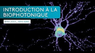 Introduction a la biophotonique [upl. by Cordeelia]