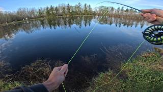 White River Fly Fishing Package From Beginner to Rainbow Trout Success [upl. by Alekram]