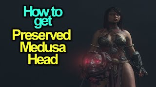 Preserved Medusa Head  Easy way  Dragons Dogma [upl. by Odlanyar]