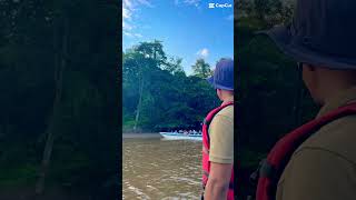 River cruise borneowildlife tour kinabatangan [upl. by Morgana560]