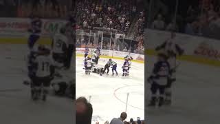 Jacksonville icemen fight2 [upl. by Namas]