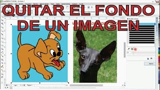 COMO QUITAR EL FONDO A UN IMAGEN fácil y rápido CON COREL DRAW [upl. by Ronnholm219]