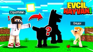 BEYBİNİN YENİ EVCİL HAYVANI  BeybiCraft Bölüm 14 kim  Minecraft [upl. by Aroz]