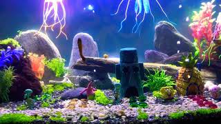 Spongebob themed aquarium [upl. by Domineca90]