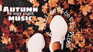 Fall Aesthetic Music no copyright  Music you can use in Autumn Vlogs  Aesthetic music  IDREAMER [upl. by Claman]