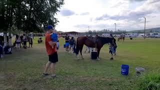 Tanana Valley State fair  SUMMER Explore Fairbanks Alaska  SIMPLY MOMMY MAI [upl. by Maje179]