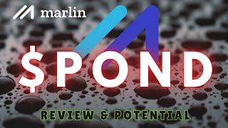 Marlin POND Will It Surge  Pond Coin Review amp Price Prediction [upl. by Leipzig698]