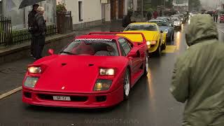 MAJOR Classic HYPERCARS MEET and DRIVEOUT in Switzerland [upl. by Grannie]