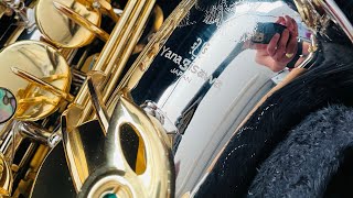 JampB Yanagisawa AWO37 Homage professional alto sax [upl. by Py]