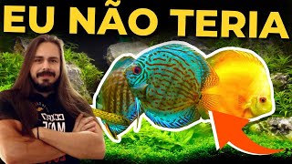 🔴OS 10 PEIXES QUE EU NÃO TERIA EM AQUÁRIOS Mr Betta [upl. by Zehe34]