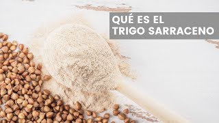 QUÉ ES EL TRIGO SARRACENO O ALFORFÓN ¿ES SIN GLUTEN RECETAS CON TRIGO SARRACENO [upl. by Kaitlynn]