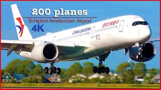 200 Planes AMS Schiphol Airport  Plane Spotting  4K [upl. by Yramanna711]