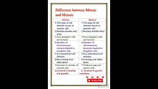 Difference between mitosis and meiosis [upl. by Flip]