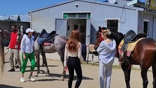 Yetişkin ve çocuk için At Binicilik kulübü [upl. by Proffitt]