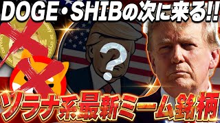 【仮想通貨】シバ・ドージの次に来るquot最強のミームquot誕生トランプ大領もイチオシの期待大コイン【TRUMPMAGA】 [upl. by Raddie]