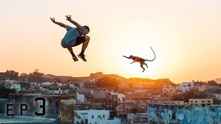 Parkour vs Monkeys 🇮🇳 [upl. by Atinuahs]