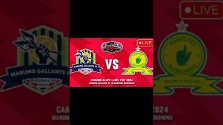 Marumo gallants vs Mamelodi Sundowns Black label Cup Predictions 10 November 2024 [upl. by Nywnorb422]