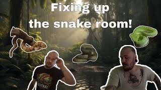 Feeding snakes and making changes to the snake room with westbayreptiles [upl. by Meece]