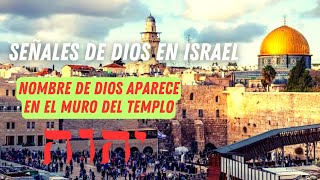 🔥¡MILAGRO EN ISRAEL Aparece el nombre de Dios en Hebreo en el Muro del Templo de Jerusalén [upl. by Yllim]