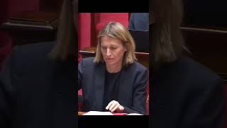 MARINE LE PEN a lassemblée nationale jordanbardella debat election2024 politique politique2024 [upl. by Nolur586]