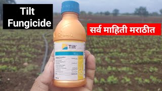 Tilt fungicide uses marathi  टिल्ट बुरशीनाशक  propiconazole 25 ec uses  a2afarmingmarathi [upl. by Deb539]