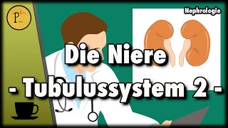 Das Tubulussystem unserer Niere erklärt Diuretika Spironolacton Thiazide HCT Xipamid Teil 2 [upl. by Inacana]