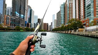 URBAN River Bass Fishing in Downtown Chicago RARE CATCH [upl. by Sira]