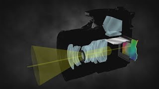 How a DSLR Camera Works [upl. by Rossi819]