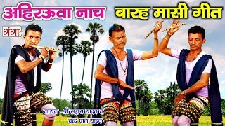 अहिरउवा नाच  अमेठी सुल्तानपुर उत्तरप्रदेश घूँघरू नाच  Ahirauwa Full HD Songs [upl. by Frantz539]