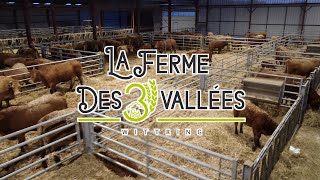 Nouvelle stabulation et premiers vêlages à la Ferme des 3 Vallées [upl. by Kono177]