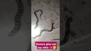 Hamare ghar par sap nikla🪱🥱 [upl. by Nishom]