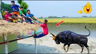 Very Special Trending Funny Comedy Video 2023😂Amazing Comedy Video 2023 Ep347 By beenfuntv [upl. by Ahtivak]