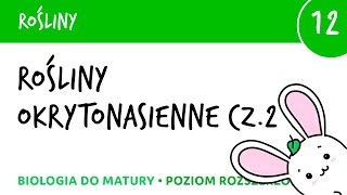 Okrytonasienne część 2  Rośliny 12  matura liceum biologia rozszerzona [upl. by Koziara841]