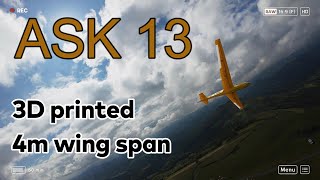 ASK 13 3D printed La Madelein Slope Soaring [upl. by Sluiter]