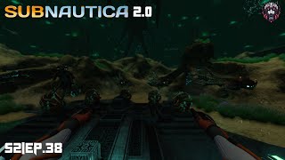 Hatchlings  Subnautica 20 S2Ep38 [upl. by Hart583]