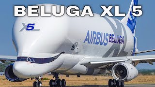 New AIRBUS BELUGA XL  Beluga XL5  First Flight at Toulouse Blagnac Airport [upl. by Tarra728]